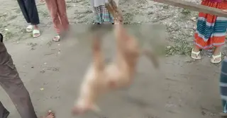 নেত্রকোণায় শিয়ালের কামড়ে আহত ১০
